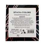 DMS INDIA Silvanaa Colors Lighting Eyeshadow Palette